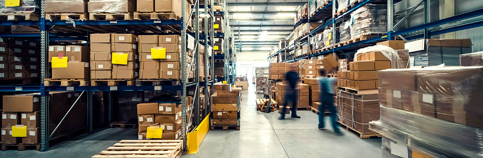 Packaging Audit
